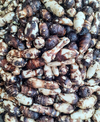 Taro root vegetable pile full background on market. Also known as arbi vegetable 