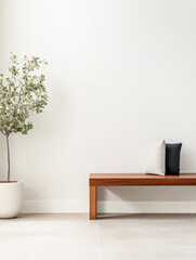 Modern minimalist interior with a wooden bench and potted plant during daylight