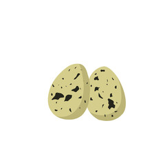Vector Quail Egg Illustration 
