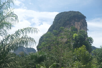 Fototapeta premium mountains of thailand krabi province