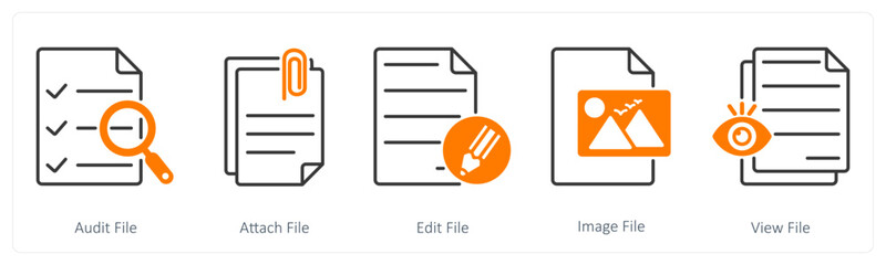 A set of 5 Files icons as audit file, attach file, edit file