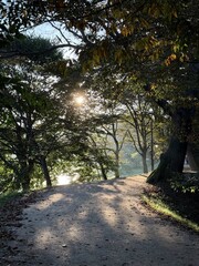 가을 숲길