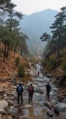 A group of hikers navigate through a rocky stream in the mountains, surrounded by lush trees and the serene atmosphere of nature
