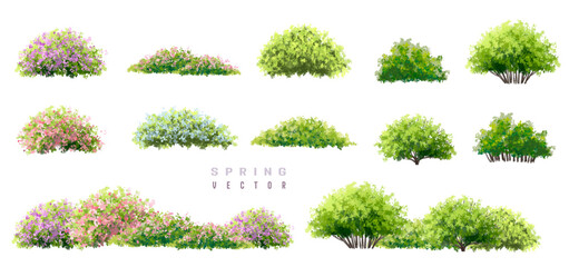 Vertor set of spring blossom tree,blooming plants side view for landscape elevation and section,eco environment concept design,watercolor shrub illustration,colorful season