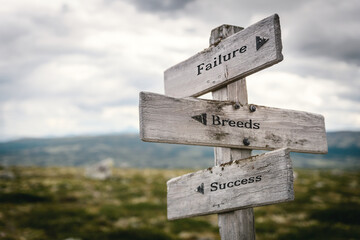 failure breeds success text quote written on wooden signpost at the crossroads outdoors in nature.