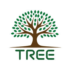 Fototapeta premium Tree with colorful leaves. 