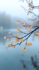 Dewdrops glisten on vibrant autumn leaves as fog envelops a serene lake, creating a peaceful and atmospheric morning landscape