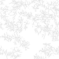 black and white seamless pattern