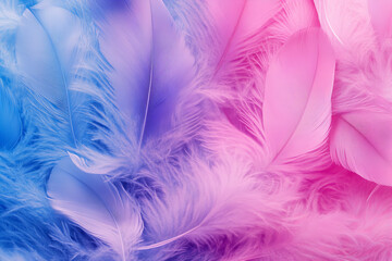 Obraz premium Delicate Pink Feathers on a Soft Pastel Background Highlighting Elegant Textures and Lightness for Creative Design Inspiration