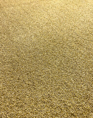 Malt in a brewery as a background.