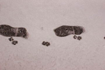 Footprints in the snow. Footprints in the snow. Footprints in the snow.