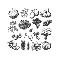 Hand-drawn vegetable and fruit set, including leafy greens, root vegetables, and healthy food items in vintage line-art style. Perfect for organic food packaging, menus, and farm market promotions