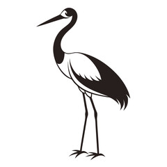 Fototapeta premium White Stork black Belarus bird silhouette