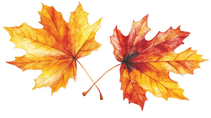 Fototapeta premium Vibrant orange leaves on blue, a study in color contrast and minimal design two