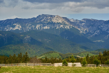 Mountain range landscape in the summer