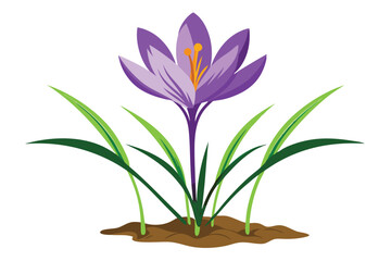 saffron plunt clean silhouette color vector F.eps