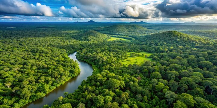 Aerial view of the lush, untamed forests of French Guyana , jungle, canopy, wilderness, adventure, aerial, lush