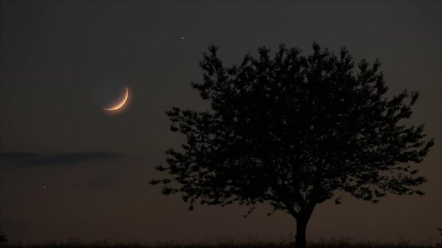 Crescent Moon, stars, planet conjunction and landscape scenery silhouettes.	
