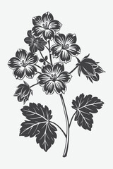 Geranium Branch with Flowers Silhouette Vector for Graphic Design and Illustration Use