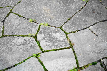 形が不ぞろいな石畳