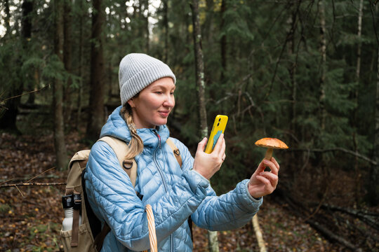 Woman using technology to identify mushrooms in a forest