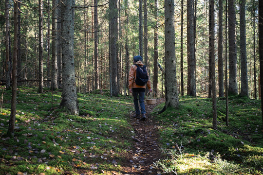 man in an yellow jacket with a backpack walking in the autumn forest