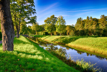 Green meadow and trees on the bank of the river. Summer landscape.