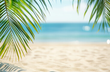 Fototapeta premium palm tree on the beach