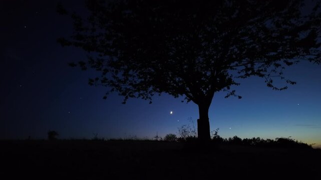 Crescent Moon, stars, planet conjunction and landscape scenery silhouettes.	
