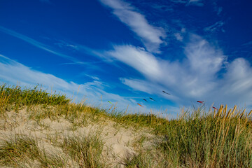 beautiful dunes with blue sky and flying colorful kites on the island of Rømø in Denmark