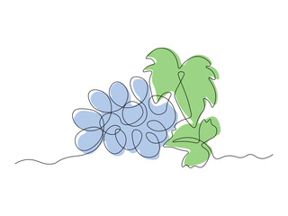 bunch of grapes, continuous single line art drawing sketch, logo