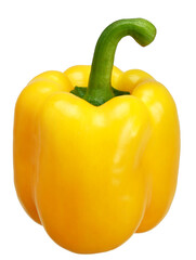 고추, 먹을것, 야채, 고립시키는, red, 파프리카, yellow, 건강한, 백, 벨, 신선, 채식주의, green, 규정식, 감미로운, 익는, 성분, 날 것의, 유기농, 변색, orange, 고추, 야채, 고추, 영양, 피망, 