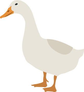 white goose standing, orange beak, simple style clip art preview