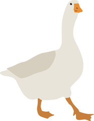 Flat goose illustration. Vector clipart of domestic bird. Farming