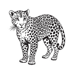 simple leopard silhouette, realistic leopard silhouette.