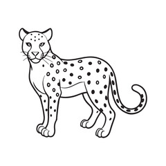 vector leopard silhouette, silhouette of a leopard.