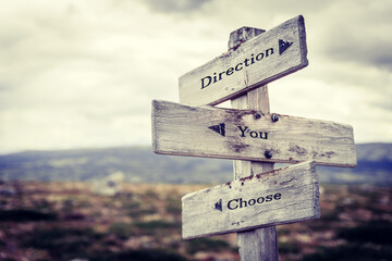 direction you choose text quote on wooden directional signpost outdoors in nature