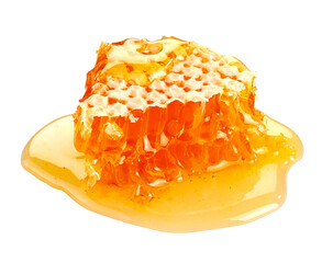 꿀, 먹을것, 벌집, 감미로운, 고립시키는, yellow, 백, 꿀벌, 밀랍, 밀랍, 건강한, 빗, 디저트, 내추럴, 골드, 세포, 프로폴리스, 근접, orange, 신선, 네이처, 매크로, 약물, 갈색, 건강