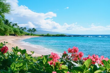 Vibrant Beach with Tropical Flowers and Clear Water