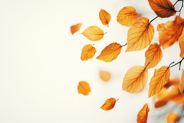 Obraz premium Autumn Leaves Falling on Light Background