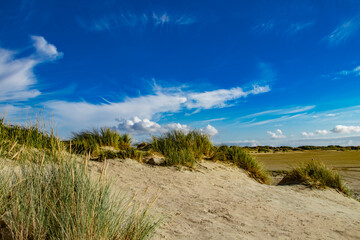 beautiful north sea dunes with green grasses and blue sky in Rømø Denmark