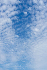 Fototapeta premium 秋の青空と雲のコントラスト66