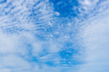 秋の青空と雲のコントラスト61