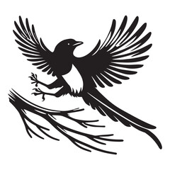 Obraz premium Eurasian magpie Bird Vector illustration in black and white 