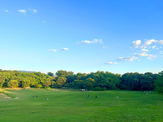 sky, 들판, 목초, 경관, green, 네이처, 목초지, 여름, blue, 구름, 나무, 구름, 시골, 농촌, 목초지, 봄, 수평선, 풍경, 경작, 대지, 농장, 나무, 국가, 명랑한, 주변