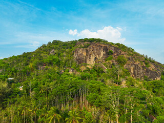 A mountain covered in trees and a clear blue sky