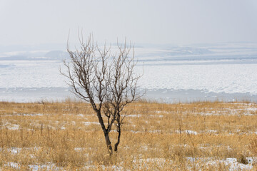 能取岬から見る流氷 © 望 土岐