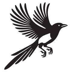 Fototapeta premium Eurasian magpie Bird Vector illustration in black and white 