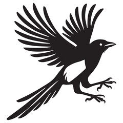 Obraz premium Eurasian magpie Bird Vector illustration in black and white 