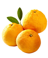 orange, 과일, 먹을것, 고립시키는, 감귤류, 백, 만다린 오렌지, 건강한, 관화, 익는, 신선, orange, 감미로운, 수분이 많은, 비타민, 주스, 규정식, yellow, 새로운, 먹기, 열대, 변색, 껍질, 유기농, 과일